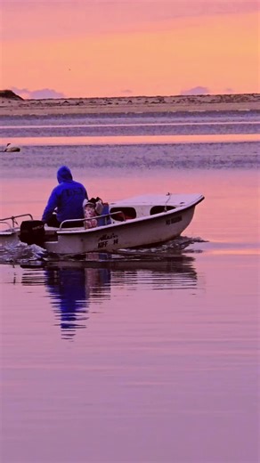 Experience the Stunning Seasons of Cape Cod
