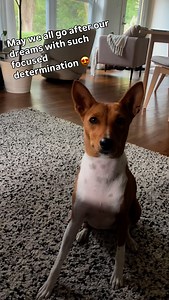 An inspiration to us all, this one 😁 | Icon For Hire