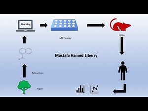 Graphical Abstract Part 7
