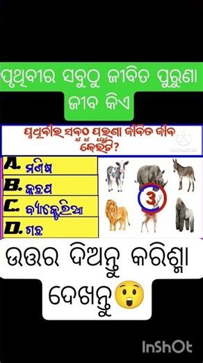 odia general knowledge #odiagk #odiaquiz #shorts #viralshorts #trending