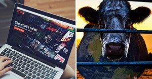 Climat : 7 documentaires à voir sur Netflix pour s’informer et s’engager