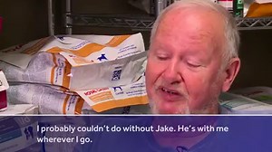 207K views · 84 reactions | Aubie the Tiger may be the official mascot of the Auburn Tigers, but he has some competition from an 8-pound Maltese nicknamed "Tiger Jake." | WBAL-TV 11 Baltimore | Facebook