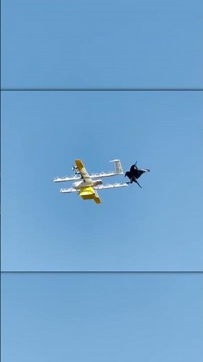 Crow Attacks Delivery Drone Mid-Air!