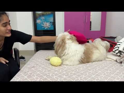 Packing up for the Europe trip 🤩| Europe Vlog - 1