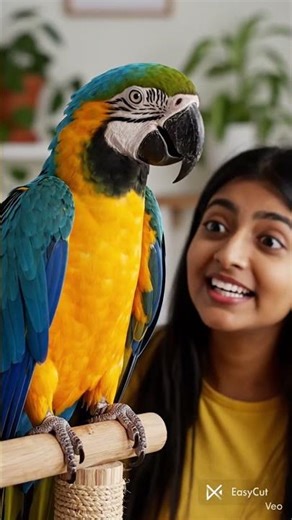 Talking Macaw 🦜😲 | So Cute & Funny ❤️✨”