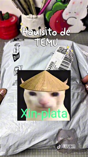🛍️✨ Haul de materiales de Temu 🎨💖 🎁 Usa mi código **inc979615** para regalitos y cupones. 🔗 https://temu.to/k/gstqdzz3l56 #Temu #temuhaul #Manualidades #DIY #papeleria