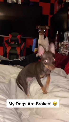 ColdKnightz on TikTok