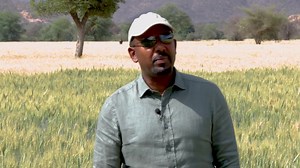 22 reactions | Qubee TV: Dooktar Abiyyi Ahimad Godina Harargee Bahaatti misooma Qamadii Bonee daawwatan. | Qubee TV | Facebook