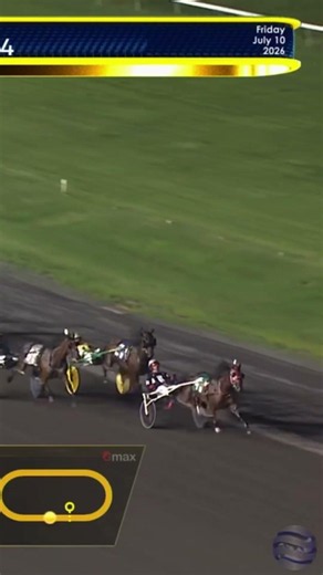 She Stings Twice wins NJSS Silver Division! #harnessracing #shorts #horses