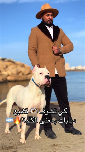 مغامرات الكلب مع المحاربين