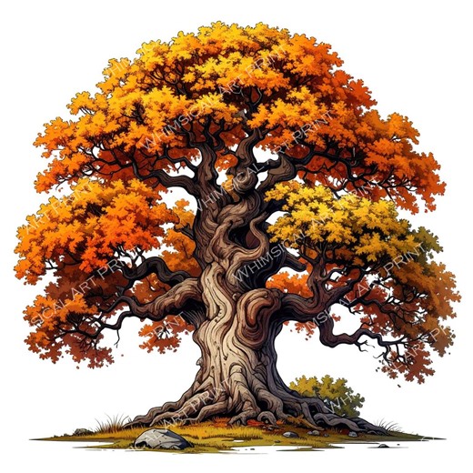 12 Autumn Oak Tree of Life Clipart PNG - Watercolor Style (digital Download - Commercial Use) - Etsy