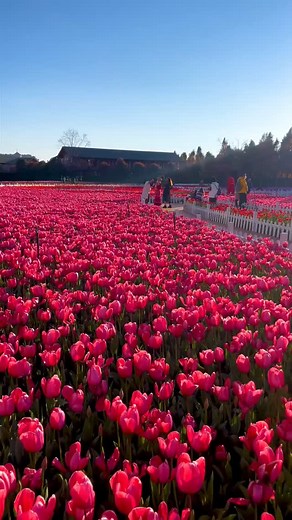 So Beautiful 😍❤️🍃 nature 🍃 ☘️... . . . . #naturelover #naturephotography #naturelovers #photography #landscape #photooftheday #perfection #travel #travelphotography #wildlife #love #flowers#ig #sunset #landscapephotography t#instagood #photo #macro #beautiful #picoftheday #mountains #sky #birds #hiking #instagram #photographer #naturephoto #forest #wanderluster | nature care