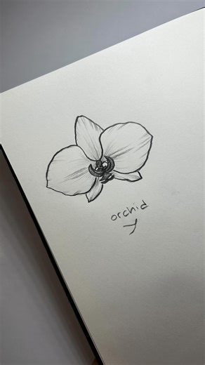 Belle🪻 on Instagram: "Easy orchid drawing tutorial 🤍 #orchid #howtodraw #flowerdrawing #drawingtutorials #easydrawings"