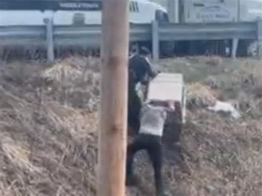 Middletown Animal Control Officer Gets Lost Dog Trapped In Ravine Near Busy Highway To Safety