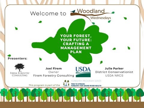 Your Forest, Your Future Crafting a Management Plan