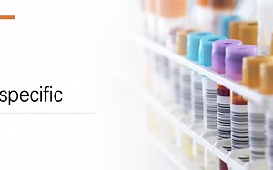 specific, specifically - 七选五中的一个解题逻辑~ 高中英语 新人教版 必修一 Unit5 单词讲解