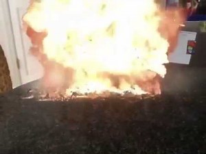 Cute things exploding