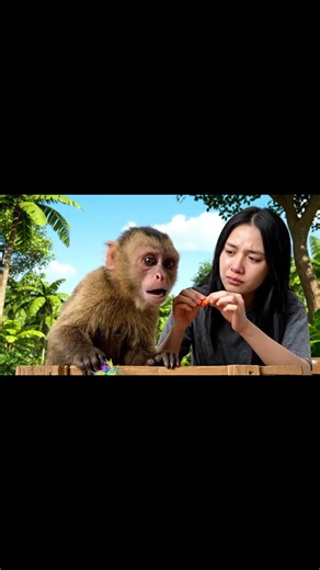 Baby Monkey Gets Candy Stuck in Fur – Funny Rescue Moment! #shorts