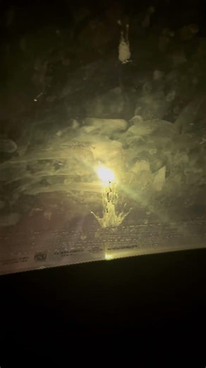 😱😱😱😱 live omg