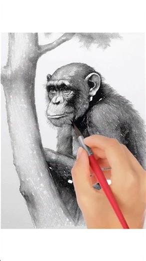 how to draw monkey with pencil #drawsocute #shortvideo #shorts #foryou #fyp