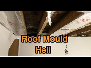 Flat roof mould and bad ventilation in a new cold flat roof over a loft dormer.