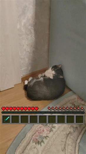 𝓑𝓮𝓪💗🍭 (@springtrap_fnaf_roblox)’s videos with som original - 音 | 𝐒𝐌 𝐌𝐮𝐬𝐢𝐜𝐬 🎧