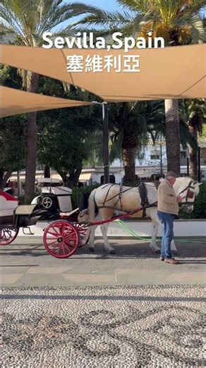 Sevilla,Spain(塞維利亞，西班牙）
