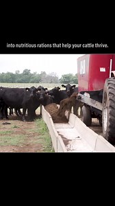 15 reactions | Stretch Your Feed Rations and make the most of what you’ve got with a Jaylor TMR Mixer. Even lower-quality forage gets turned into balanced, nutritious rations for your cattle. Stretch your feed and keep your herd thriving. | Jaylor | Facebook