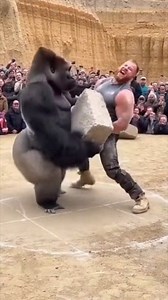 2.1M views · 10K reactions | CLASH OF THE TITANS 女 The Scene: A...