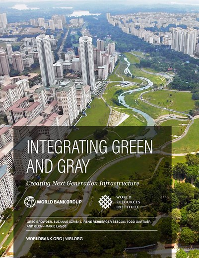 Report: Green and gray infrastructure work together to enhance service, cut costs - Stormwater Report