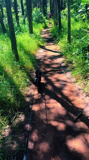 Munchie (@munchie_the_mini_weenie)’s videos with original sound - Munchie