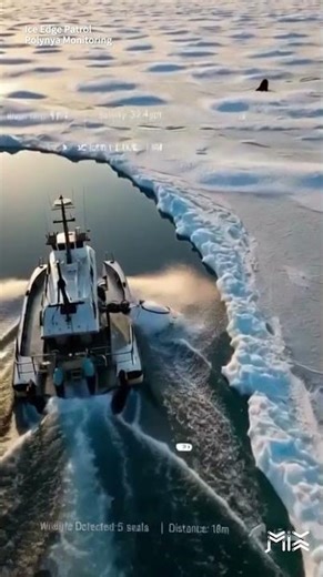 Robotics #46 | The Ice Edge Patrol (Polynya Monitoring) | Antarctica & Ice World Series