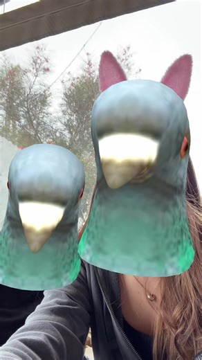 #funny #chinchilla #snik #xyzabc #foryoupagе