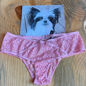 Victoria's Secret Pink Lace Panties