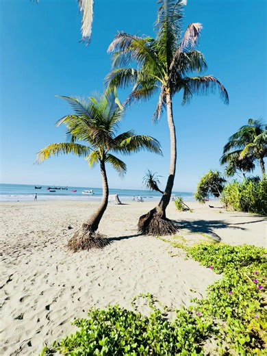 Exploring the Beauty of Saint Martin