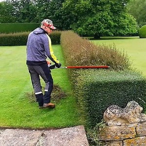 43M views · 327K reactions | AMAZING Hedge Recovery, Trimming An Overgrown FORMAL HEDGE | Volunteer Lawn Care | Facebook