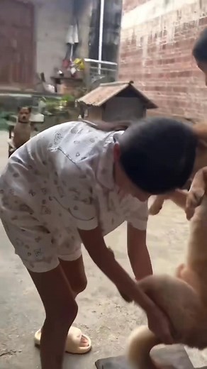 Ôi bạn ơi 😂 bạn là tất cả | Pet Nations