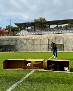 415K views · 363 reactions | It's a complete lottery  | SPORTbible | Facebook