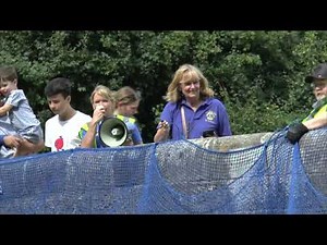 Watch the 35th Annual Duck Race