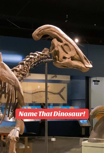 Wait for the baby! @Field Museum #fossils #whydinosaurs #NameThatDinosaur #paleontology #dinosaur