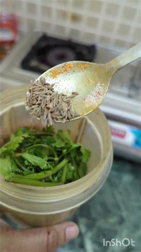 chatni | green chatni | garlic chatni