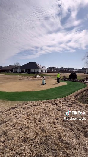 How to paint the lawn: Step 1: procure lawn pant Step 2: mix Step 3: spray the paint. #LawnRenovation
