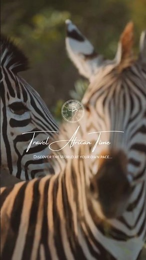 Luxury in the Wild: Africa’s Most Exclusive 8-Night Safari