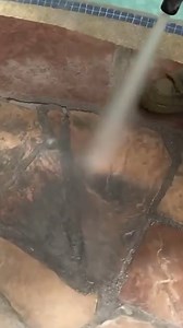 Learn more about the differences between pressure washing and Dustless Blasting 💪: https://www.dustlessblasting.com/blog/dustless-blasting-vs-pressure-washing | Dustless Blasting