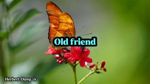 Phyllis Hyman (Old Friend) Lyrics #lyrics #lyricsmusic #lyricsvideo #songlyrics #song #PhyllisHyman #oldfriends #viralmusic #trendingmusic #butterflies #butterfly #butterflyphoto #butterflyphotography #flowers #flowersphoto #flowersphotography #FLOWERSSHOP #nature #naturelovers #naturebeauty #naturephotography #Herbert #herbertdangis #herbertjunglefighter #hightlight #fypシ゚ | Herbert