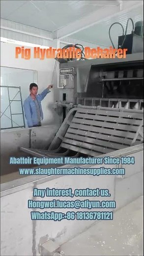 Pig Hydraulic Dehairer Scalding Tank - Hog dehairing machine abattoir slaughterhouse equipment