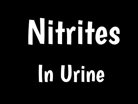 Nitrites in Urine | Urinalysis | Microscopic Urine Analysis |
