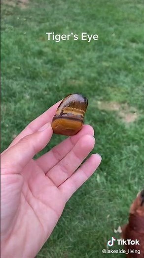 Tiger's Eye Crystal Properties - 5 Things You Need to Know [Jacqui Mancuso]