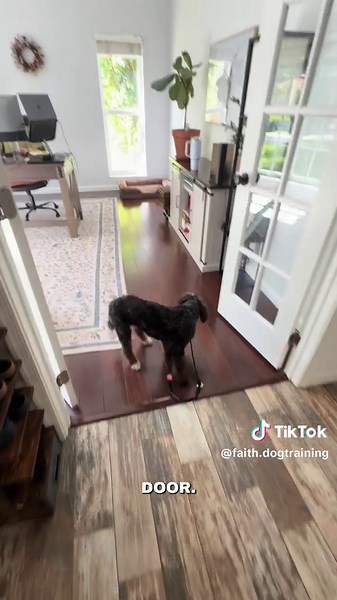 📌Tips: Have a leash on your dog so you can help them get to place in the beginning. Remember that it’s the door bell so they might be excited and or confused because there’s no person coming in. You will have to work through this. To do this your dog must already know place. If your dog doesn’t know place you can still do this but it’s a different process. #dogtrainingtipsandadvice #puppytrainingtips #dogtraining #dogtrainer #obediencetraining