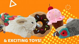 Watch Chompbox Dog Subscription Box Treats & Toys on Amazon Live